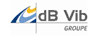 Logo DB VIB CONSULTING